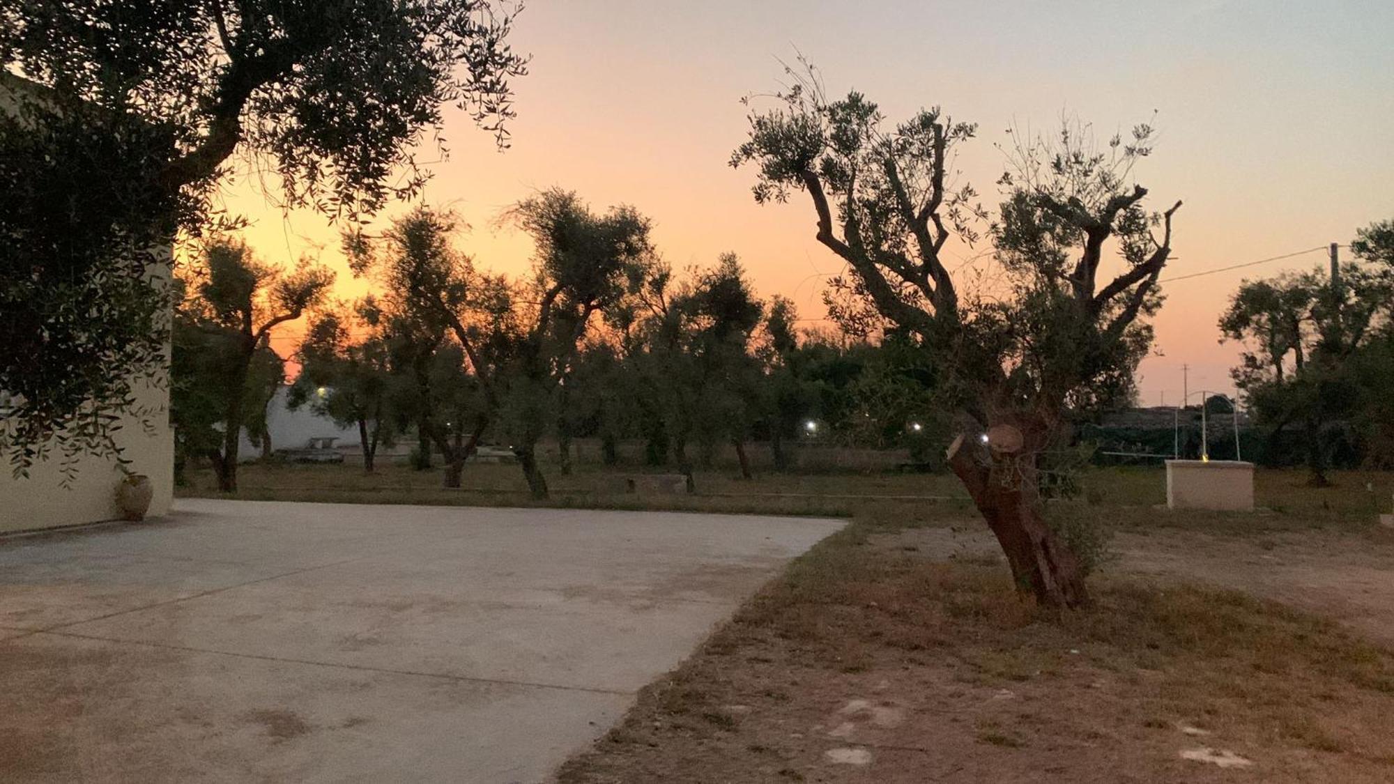 Villa Mios Muro Leccese Exteriör bild